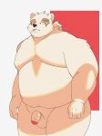  2022 anthro balls belly big_belly eyewear flaccid genitals glasses hi_res humanoid_genitalia humanoid_hands humanoid_penis kemono leib_(tas) lifewonders male mammal overweight overweight_male penis polar_bear saheul_s simple_background smoking solo tokyo_afterschool_summoners ursid ursine video_games 