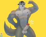  anthro armpit_hair backwards_baseball_cap backwards_hat balls baseball_cap body_hair canid canine canis clothing edgybambi erection fist flexing flexing_bicep fur genitals grey_body grey_fur grin hand_on_hip hat headgear headwear hi_res humanoid_genitalia looking_at_viewer male mammal muscular muscular_anthro muscular_male navel nipples penis pose smile solo standing we_baby_bears wolf wolf_(we_baby_bears) yellow_eyes 