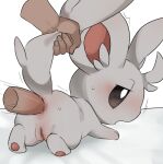  anal anal_penetration disembodied_hand disembodied_penis duo female female_penetrated fur genitals grey_body grey_fur hi_res male male/female male_penetrating male_penetrating_female minccino nintendo penetration penile penile_penetration penis penis_in_ass pok&eacute;mon pok&eacute;mon_(species) pussy tail_grab video_games 
