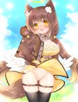  1girl angel_wings animal_ear_fluff animal_ears backpack bag bangs black_thighhighs blue_sky blush breasts brown_hair brown_jacket censored cleavage clothes_lift cloud cropped_jacket day dress dress_lift fang feathered_wings frilled_dress frills hair_between_eyes halo hands_on_hips jacket long_hair long_sleeves low_twintails low_wings medium_breasts mosaic_censoring no_panties open_clothes open_jacket open_mouth original outdoors pussy shikito skindentation sky solo tail thighhighs twintails v-shaped_eyebrows very_long_hair white_wings wind wind_lift wings yellow_dress yellow_eyes 