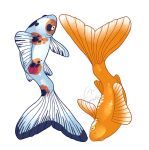  ambiguous_gender black_body black_scales black_tail blue_body blue_scales dorsal_frill duo feral fish frill_(anatomy) gills hi_res imperatorcaesar marine orange_body orange_scales orange_tail scales simple_background white_background white_tail wide_eyed 