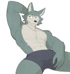  abs anthro beastars canid canine canis clothing eye_scar facial_scar fur grey_body grey_fur hi_res jrjresq legoshi_(beastars) male mammal multicolored_body multicolored_fur muscular muscular_anthro muscular_male scar simple_background solo two_tone_body two_tone_fur white_background wolf 