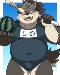  anthro belly bulge canid canine canis clothing domestic_dog food fruit fur grey_body grey_fur hair hi_res lifewonders male mammal melon musclegut navel one-piece_swimsuit pecs plant ponytail practice_sword ptcmtr scar school_swimsuit shino_(housamo) solo swimwear tokyo_afterschool_summoners video_games watermelon wooden_sword 