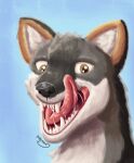  absurd_res bodily_fluids brown_eyes canid canine canis countershading coyote drooling feral grey_body gyrotech hi_res licking licking_lips male mammal markings mouth_shot open_mouth orange_body orange_markings saliva solo tongue tongue_out white_body 