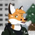  1:1 2022 absurd_res alexander_(fuchsicus) anthro canid canine clothing cold colored digital_drawing_(artwork) digital_media_(artwork) fox fuchsicus fur hair hi_res looking_at_viewer male mammal military_uniform open_mouth potrait snow solo teeth tongue uniform 
