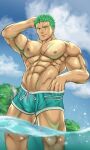 1boy abs absurdres aqua_male_swimwear arm_behind_head armpit_hair artist_name bara closed_mouth cloud day earrings green_hair highres jewelry large_pectorals male_focus male_swimwear muscular muscular_male navel neppikun nipples one_eye_closed one_piece outdoors partially_submerged pectorals roronoa_zoro scar scar_across_eye scar_on_chest scar_on_face short_hair sky smile solo water 