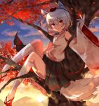  1girl animal_ears bangs bare_shoulders black_skirt closed_mouth cloud cloudy_sky detached_sleeves flip-flops full_body highres in_tree inubashiri_momiji leaf lll_iv_v maple_leaf pom_pom_(clothes) red_eyes sandals shirt short_hair sitting sitting_in_tree skirt sky smile socks solo sun sunset tail touhou tree white_hair white_shirt white_sleeves white_socks wolf_ears wolf_girl wolf_tail 