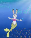  absurd_res anthro bikini bikini_top clothing disney female fish fur grey_body grey_fur hi_res judy_hopps lagomorph leporid long_ears mammal marine merfolk mermaid_tail purple_eyes rabbit sea solo split_form swimming swimwear tonakuma water zootopia 