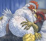  anthro anus avian balls beak bird blush bodily_fluids breasts bubonikku butt chicken claws duo edit erection feathers female female_penetrated from_front_position galliform gallus_(genus) genital_fluids genitals lying male male/female male_penetrating male_penetrating_female nipples non-mammal_balls non-mammal_breasts non-mammal_nipples nude on_back open_mouth penetration penile penile_penetration penis penis_in_pussy phasianid pussy_juice reverse_missionary_position sex slightly_chubby tongue uncensored vaginal vaginal_penetration 