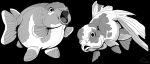  ambiguous_gender dorsal_frill duo fish frill_(anatomy) greyscale imperatorcaesar marine monochrome open_mouth scales signature simple_background tongue wide_eyed 