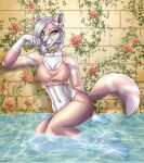  anthro bath canid canine character_brittanycorona charter_brittany choker clothed clothing corona ear_piercing ear_ring female fennec flower fox fur hi_res jewelry kalo mammal necklace piercing plant rakta ring_piercing shirt simple_background smile solo tank_top topwear vines water 