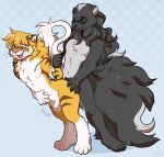  alpha_(character) anal black_body black_fur eyewear felid fluffy fur glasses hair hi_res hybrid liger lion male male/male mammal mane mephitid pantherine ponytail skunk stripes tass_(tassy) white_body white_fur yellow_body yellow_fur 