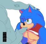  abs anthro blurau duo genitals hand_on_head hi_res male male/male masturbation muscular muscular_male nipples one_eye_closed oral penis sega sonic_the_hedgehog sonic_the_hedgehog_(series) ych_(character) 