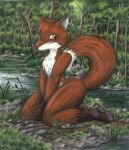  1998 ambiguous_gender anthro brian_edwards canid canine cattail_(plant) creek dipstick_tail feet fox grass mammal markings nude orange_body plant red_fox sitting solo tail_markings traditional_media_(artwork) yellow_eyes 