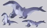  ambiguous_gender blue_body blue_eyes blue_tail cetacean dorsal_fin dot_eyes fin glistening glistening_eyes grey_background imperatorcaesar mammal marine mouth_closed multiple_images quadruped side_view signature simple_background solo standing 