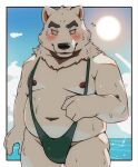  2022 anthro belly big_belly black_nose blush bodily_fluids canid canine kemono korosuke male mammal mankini moobs navel nipples overweight overweight_male solo sun sweat water white_body 