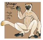  anthro arm_tuft black_nose blue_eyes border brown_background brown_eyebrows brown_hair brown_tail eyebrows featureless_crotch fur hair hi_res imperatorcaesar lemur male mammal neck_tuft nude primate sifaka simple_background solo spread_legs spreading springer_(imperatorcaesar) strepsirrhine tan_body tan_fur tan_tail tuft unsigned white_border yellow_sclera 