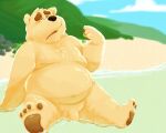  0ottotto0 2022 anthro beach belly big_belly flaccid genitals hi_res humanoid_genitalia humanoid_hands humanoid_penis kemono male mammal moobs nipples outside overweight overweight_male penis seaside sitting solo ursid water 