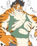 abs anthro barazoku captainjohkid claws felid fur hi_res male mammal muscular muscular_anthro muscular_male pantherine pecs sharp_claws sharp_teeth solo striped_body striped_fur stripes teeth tiger transformation vein veiny_muscles 