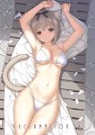  1girl animal_ear_fluff animal_ears armpits arms_up bikini black_hairband breasts brown_eyes cat_ears cat_tail circle_name cover cover_page doujin_cover grey_hair hairband hashimoto_takashi looking_at_viewer lying on_back original petals short_hair solo swimsuit tail white_bikini 