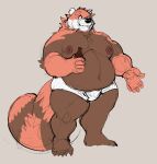  2022 ailurid anthro belly big_belly bulge clothing humanoid_hands male mammal moobs navel nipples onetonhalfshell overweight overweight_male red_panda simple_background solo underwear 