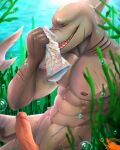  abs anthro bubble clothing erection facial_scar fish genitals gills grey_body hi_res male marine muscular muscular_anthro muscular_male navel nipples nude open_mouth pecs penis scar seaweed shark sharp_teeth shrimpiing sniffing solo teeth underwater underwear underwear_sniffing water 