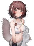  1girl absurdres animal_ears arknights blush braid breasts brown_eyes brown_hair cleavage collarbone commentary_request highres looking_at_viewer medium_breasts multicolored_hair navel open_mouth otter_ears otter_girl otter_tail roberta_(arknights) short_hair shorts simple_background solo streaked_hair tab_head tail white_background white_hair white_shorts 