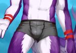  absurd_res anthro athletic athletic_anthro athletic_male bulge fur hi_res male purple_body purple_fur purple_tail red_body red_fur red_stripes simple_background solo striped_arms stripes t.y.stars unseen_character white_body white_fur 