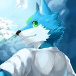  1:1 anthro blue_body blue_ears blue_fur blue_sky bust_portrait canid cheek_tuft clothing cloud facial_tuft fur glistening glistening_eyes green_eyes inner_ear_fluff looking_at_viewer looking_back male mammal portrait rear_view shirt sky solo t-shirt t.y.stars topwear tuft white_body white_clothing white_fur white_inner_ear_fluff white_shirt white_t-shirt white_topwear 