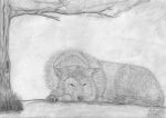  ambiguous_gender canid canine canis feral graphite_(artwork) greyscale laying_on_ground lied_etal mammal monochrome pencil_(artwork) plant solo traditional_media_(artwork) tree wolf 