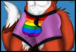  anthro bulge canid canine clothing fox grayspine male mammal matthew_(oop1oop2) multicolored_clothing rainbow_clothing rainbow_pride_colors solo underwear 