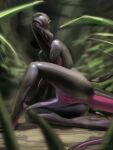  2019 anthro anus black_body blurred_foreground digital_media_(artwork) digital_painting_(artwork) female genitals grass looking_at_viewer nintendo nude plant pok&eacute;mon pok&eacute;mon_(species) presenting presenting_pussy purple_eyes pussy salazzle scalie solo video_games w4g4 