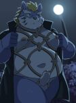  2022 anthro bdsm belly big_belly bondage bound canid canine canis clothing erection fenrir_(housamo) genitals hi_res humanoid_genitalia humanoid_hands humanoid_penis kemono lifewonders male mammal moobs moon navel nipples overweight overweight_male penis ptcmtr restraints robe rope rope_bondage rope_harness solo tokyo_afterschool_summoners video_games wolf 