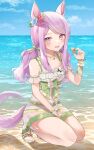  1girl absurdres alternate_costume animal_ears beach breasts collarbone commentary_request highres horse_ears horse_tail long_hair mejiro_mcqueen_(umamusume) nobell_(bell_no5) ocean open_mouth purple_eyes purple_hair sandals simple_background sitting sky small_breasts solo tail umamusume 