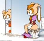 anthro bathroom big_butt butt caught cream_the_rabbit diarrhea duo embarrassed fart fart_cloud fart_fetish feces female female/female overflow overflowing_toilet public_restroom restroom_stall s2x scat sega sitting skirt_down sonic_the_hedgehog_(series) toilet toilet_bowl toilet_seat toilet_use vanilla_the_rabbit wide_hips 