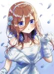  1girl :o absurdres bangs bare_shoulders blue_background blue_eyes blush brown_hair collarbone commentary dress eyelashes falling_petals floating_hair flower gloves go-toubun_no_hanayome gradient gradient_background hair_between_eyes hair_flower hair_ornament hairband hand_up headphones headphones_around_neck highres lace-trimmed_gloves lace_trim long_bangs long_hair looking_at_viewer nakano_miku off-shoulder_dress off_shoulder parted_lips petals rose shinzousan sidelocks solo upper_body white_background white_dress white_flower white_gloves white_rose 