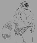  2022 anthro belly big_belly butt clothing hat headgear headwear hi_res horrorbuns humanoid_hands male mammal moobs nipples overweight overweight_male procyonid raccoon simple_background solo underwear 