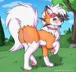  absurd_res accessory anus blush butt collar dusk_lycanroc female feral flower flower_in_hair genitals hair hair_accessory hi_res laserkitten lycanroc nintendo pawpads paws plant pok&eacute;mon pok&eacute;mon_(species) presenting presenting_hindquarters pussy solo solo_focus video_games 