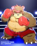  2022 absurd_res anthro belly big_belly bodily_fluids bottomwear boxing_gloves brown_body clothing fighting_ring gokrakstyle handwear hi_res kemono male mammal moobs navel one_eye_closed overweight overweight_male saigou_shirou sengoku_puzzle shorts solo sweat ursid video_games 