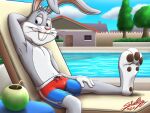  anthro arthropod bottomwear clothing lagomorph leporid male mammal pool_(disambiguation) rabbit sagadreams shorts solo swimming swimming_trunks swimwear 