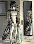  abs anthro avian balls bedroom ben_(bgn) bgn bird black_body black_feathers cuculiform door feathers feet flaccid foreskin genitals grey_body grey_feathers humanoid_feet looking_at_mirror looking_at_object male mirror multicolored_body multicolored_feathers muscular muscular_anthro muscular_male new_world_ground_cuckoo nipples nude pecs penis reflection roadrunner solo tail_feathers towel white_body white_feathers 