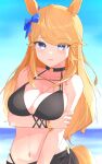  1girl animal_ears bangs bare_arms bare_shoulders bikini black_bikini black_choker blonde_hair blue_bow blue_eyes blue_sky blush bow bracelet breasts choker commentary_request day gold_city_(umamusume) hair_bow highres horse_ears jewelry large_breasts long_hair looking_at_viewer m_2 navel open_mouth outdoors sky solo stomach swept_bangs swimsuit umamusume upper_body very_long_hair 