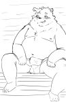  2022 anthro balls bear_2key belly big_belly blush erection genitals hi_res humanoid_hands kemono male mammal moobs navel nipples overweight overweight_male penis sauna sitting solo towel ursid 