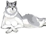  2022 anthro biped black_nose breasts canid canine canis digital_media_(artwork) eyebrows featureless_breasts female fur fur_tuft glistening glistening_eyes glistening_nose grey_body grey_fur hi_res kame_3 looking_at_viewer lying mammal multicolored_body multicolored_fur on_side shadow simple_background solo tuft two_tone_body two_tone_fur white_background white_body white_eyebrows white_fur wolf yellow_eyes 
