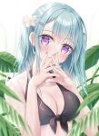  1girl bangs bare_arms bare_shoulders bikini black_bikini blue_hair blue_nails blurry blurry_foreground blush breasts cleavage collarbone commentary_request depth_of_field flower front-tie_bikini front-tie_top hair_between_eyes hair_flower hair_ornament hairclip head_tilt highres kohinata_hoshimi leaf long_hair medium_breasts nail_polish one_side_up original own_hands_together purple_eyes solo swimsuit upper_body white_flower 