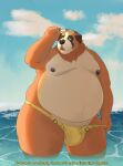  2022 absurd_res anthro belly big_belly bulge canid canine canis clothing cloud domestic_dog eyewear glasses hi_res humanoid_hands male mammal moobs nipples obese obese_male outside overweight overweight_male sato_afroleone solo swimwear underwear water 