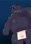  2021 anthro asian_clothing belly big_belly black_nose blue_background clothing east_asian_clothing eyewear fundoshi glasses hi_res japanese_clothing kemono male mammal moobs nipples overweight overweight_male simple_background solo tachiuo underwear ursid white_clothing white_fundoshi white_underwear 