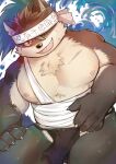  absurd_res anthro asian_clothing bandage belly biceps canid canine canis clothing domestic_dog east_asian_clothing eyebrows fundoshi fur grey_body grey_fur hi_res japanese_clothing lifewonders male mammal musclegut nipples pecs scar shino_(housamo) solo takimoto thick_eyebrows tokyo_afterschool_summoners underwear video_games 