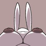  anthro areola big_breasts black_areola black_nipples breasts female huge_breasts lagomorph leporid low-angle_view mammal nipples rabbit smile solo wallstapless white_body 