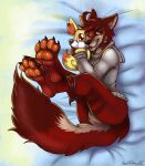  anthro bedding bedding_background black_nose canid canine canis clothing featureless_crotch fur glistening glistening_eyes glistening_nose grey_clothing grey_hoodie grey_topwear hair hi_res hoodie inner_ear_fluff lying male mammal on_side orange_pawpads pawpads plushie red_body red_ears red_eyes red_fur red_hair red_tail signature solo striped_legs tan_body tan_fur tan_inner_ear tan_inner_ear_fluff tan_tail topwear tuft wolf yaoifairy 